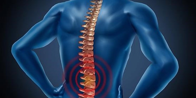 کاهش درد دیسک کمر با نوشیدن آب کاهش درد دیسک کمر با نوشیدن آب