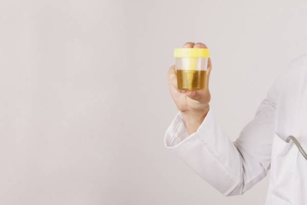 چه افرادی بیشتر دچار مشکلات  مثانه می شوند؟ چه افرادی بیشتر دچار مشکلات  مثانه می شوند؟