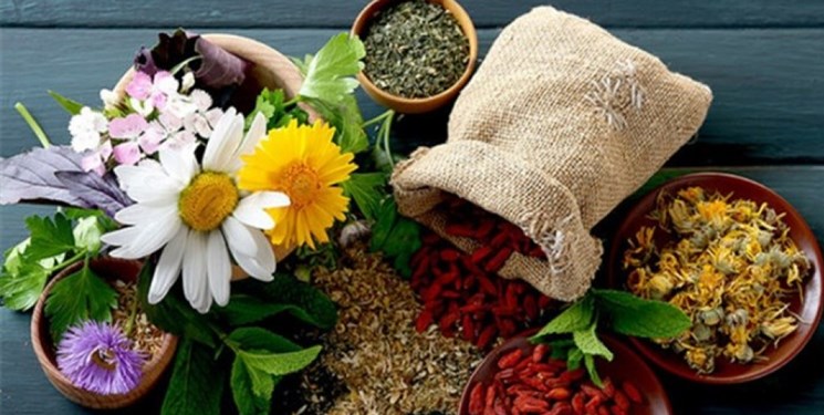 کمک طب سنتی به کاهش عوارض هوای آلوده کمک طب سنتی به کاهش عوارض هوای آلوده