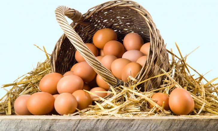 قیمت مصوب مرغ و تخم مرغ اعلام شد قیمت مصوب مرغ و تخم مرغ اعلام شد