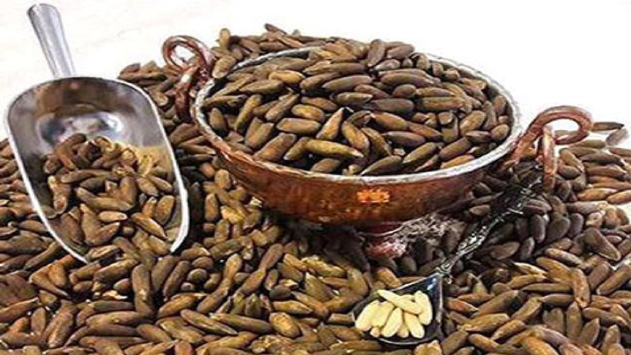 چلغوز چیست و چه خاصیتی دارد؟ چلغوز چیست و چه خاصیتی دارد؟