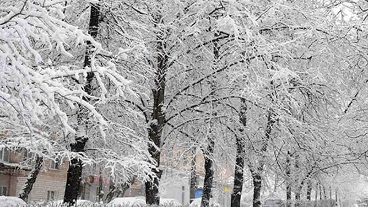 پیش بینی بارش برف و باران برای ۱۰ استان پیش بینی بارش برف و باران برای ۱۰ استان