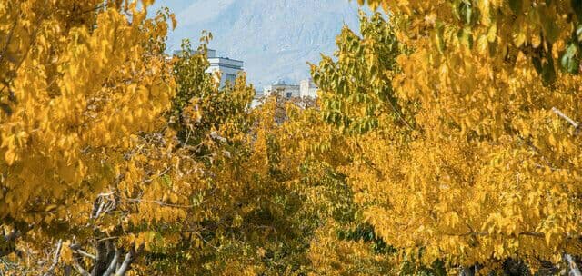 دمای تهران به صفر درجه سانتیگراد میرسد دمای تهران به صفر درجه سانتیگراد میرسد