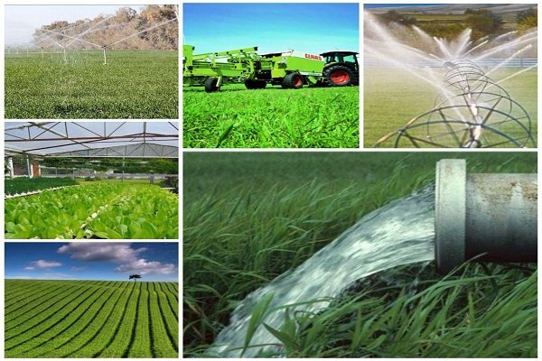 حیات سرزمینی یا حیات کشاورزی؟ حیات سرزمینی یا حیات کشاورزی؟