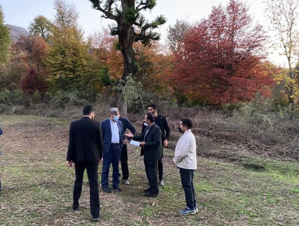 ورود دادستانی گرگان به ماجرای جنگلخواری در «قرق» ورود دادستانی گرگان به ماجرای جنگلخواری در «قرق»
