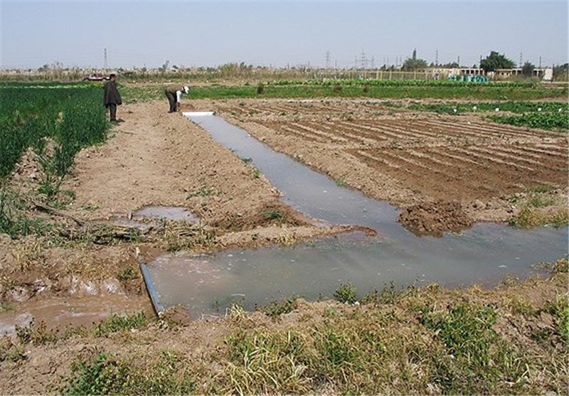 معضل قطعه قطعه شدن زمین های کشاورزی در کشور معضل قطعه قطعه شدن زمین های کشاورزی در کشور