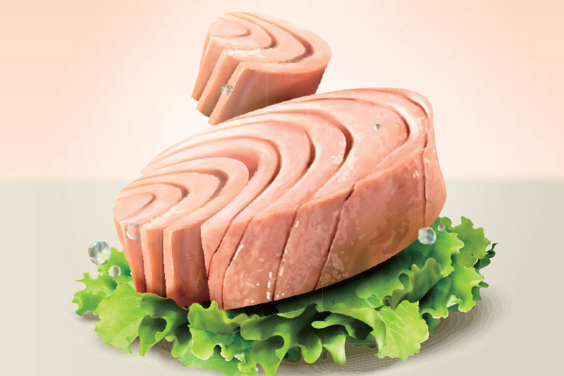 قیمت تن ماهی (۹ آذر)