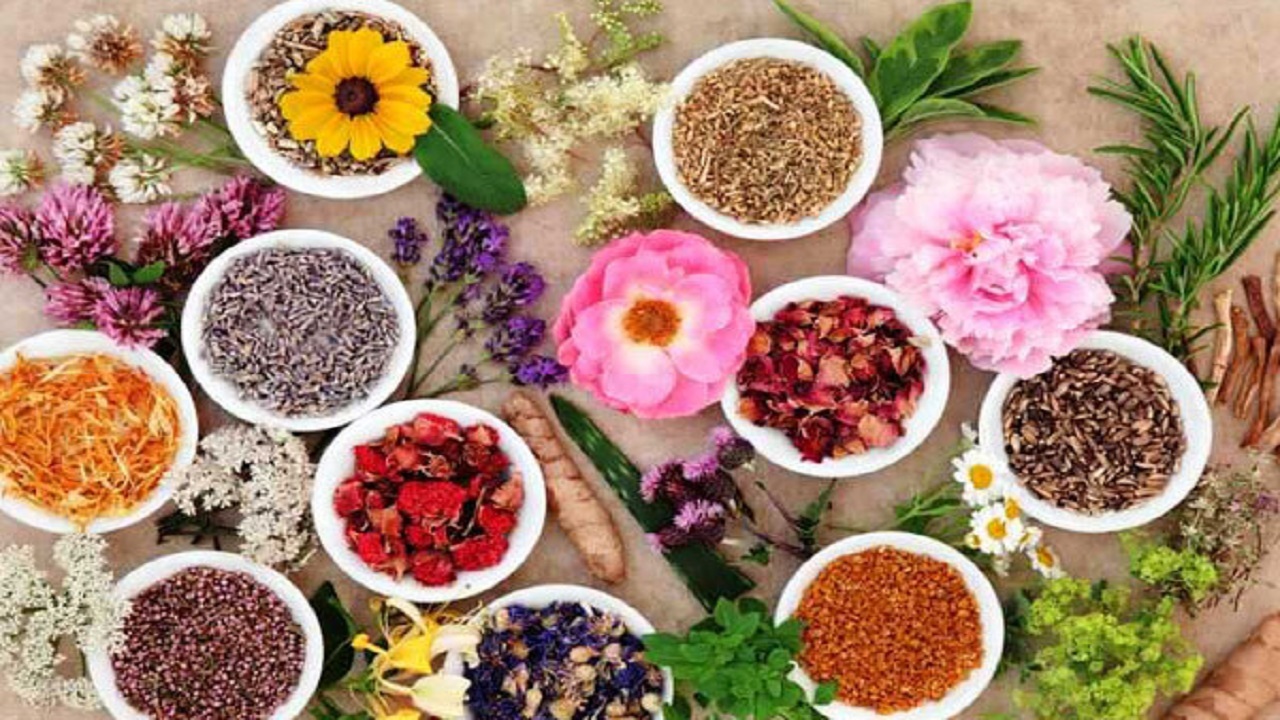 برای سلامت روده این مواد غذایی را مصرف کنید برای سلامت روده این مواد غذایی را مصرف کنید
