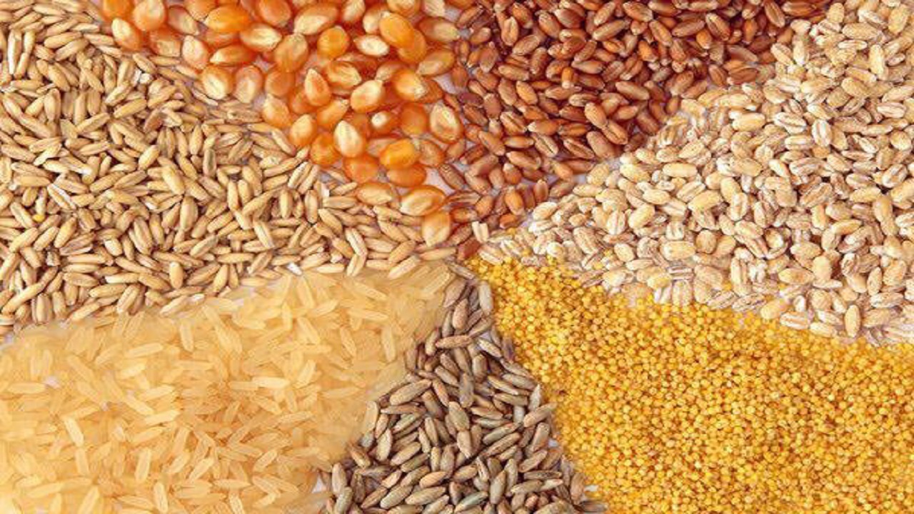 موجودی غلات و دانه های روغنی کشور فقط تا پایان ماه رمضان است موجودی غلات و دانه های روغنی کشور فقط تا پایان ماه رمضان است