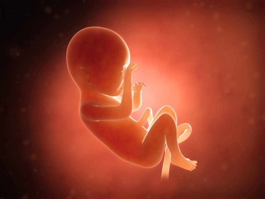 غربالگری حذف نشده است غربالگری حذف نشده است