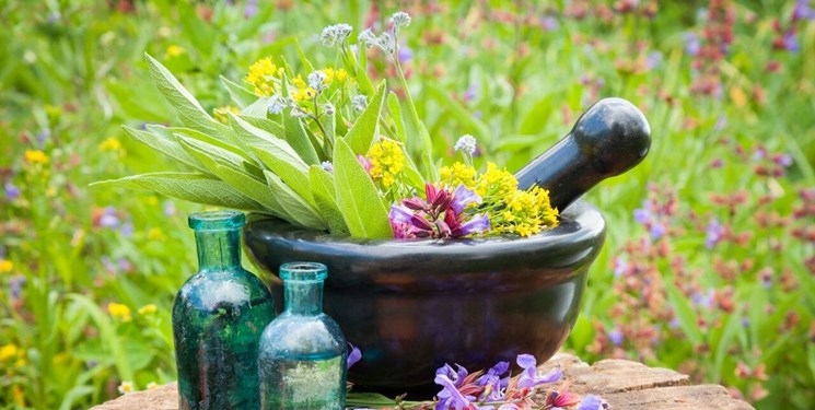 غذای مناسب فصل بهار در طب سنتی غذای مناسب فصل بهار در طب سنتی