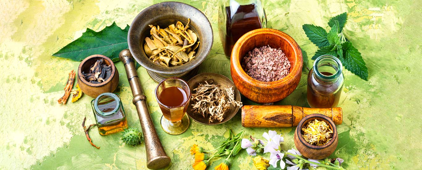 بهترین گیاهان برای درمان «بی اشتهایی عصبی»