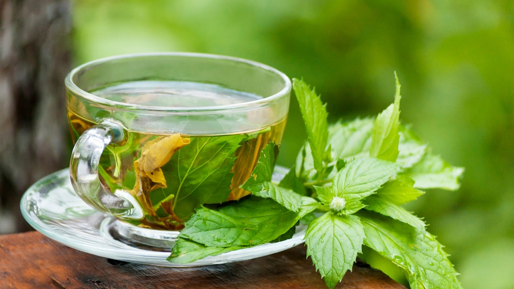 چه زمانی نوشیدن چای سبز ممنوع است؟ چه زمانی نوشیدن چای سبز ممنوع است؟