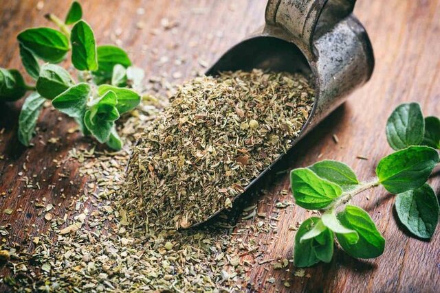 این افراد اصلا آویشن مصرف نکنند این افراد اصلا آویشن مصرف نکنند