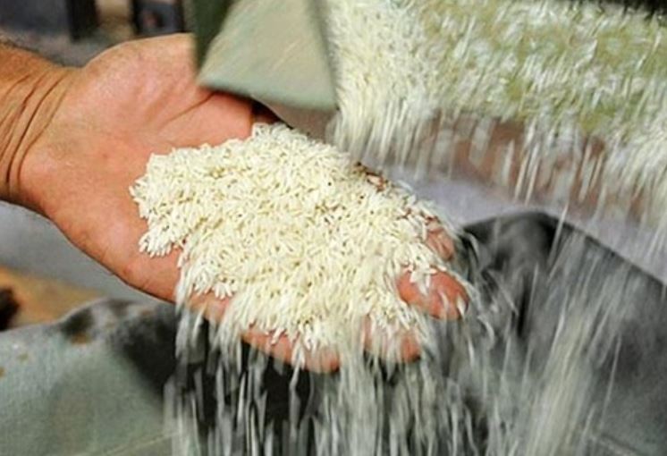 برنج ایرانی، پاکستانی و هندی کیلویی چند؟ + جدول قیمت برنج ایرانی، پاکستانی و هندی کیلویی چند؟ + جدول قیمت