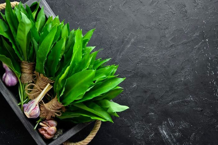 معجزه ای به نام سیر کوهی! + آشنایی با ۳۰ خواص گیاه «والک» یا سیرکوهی معجزه ای به نام سیر کوهی! + آشنایی با ۳۰ خواص گیاه «والک» یا سیرکوهی