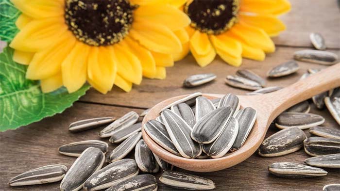 خوردن تخمه برای بدن مضر است؟ خوردن تخمه برای بدن مضر است؟