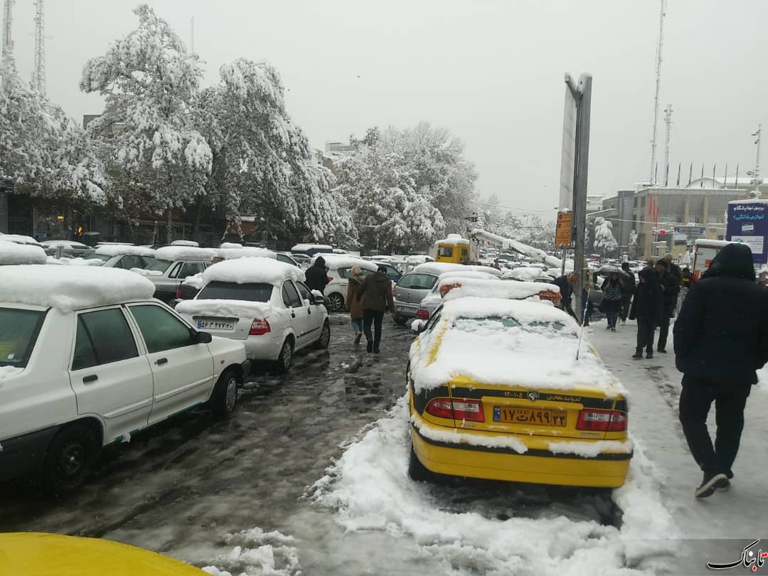 شهرداری تهران عذرخواهی کرد شهرداری تهران عذرخواهی کرد