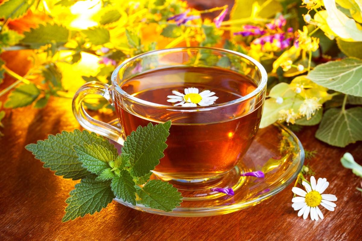 دمنوش های گیاهی برای درمان سرماخوردگی و آنفلوآنزا دمنوش های گیاهی برای درمان سرماخوردگی و آنفلوآنزا