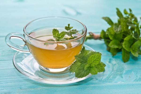 خواص باورنکردنی چای نعناع / دمنوشی که لاغر می کند خواص باورنکردنی چای نعناع / دمنوشی که لاغر می کند
