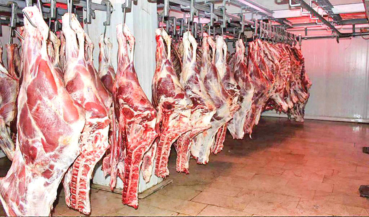 قیمت روز گوشت قرمز / سردست گوسفندی کیلویی چند؟ قیمت روز گوشت قرمز / سردست گوسفندی کیلویی چند؟