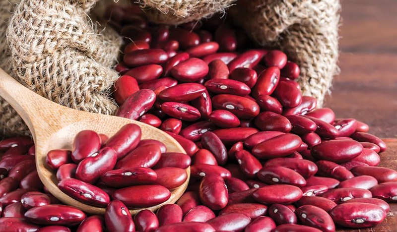 یک ماده غذایی فوق العاده برای لاغر ماندن یک ماده غذایی فوق العاده برای لاغر ماندن