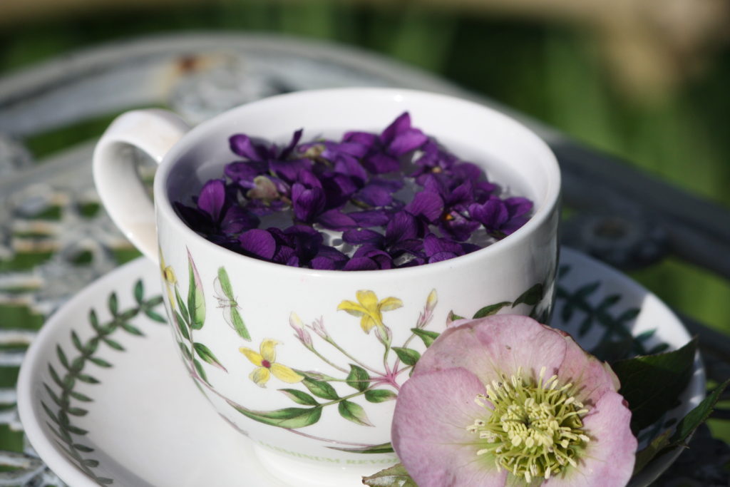 گل بنفشه به چه دردی می خوره؟ + همه خواص گل بنفشه به چه دردی می خوره؟ + همه خواص