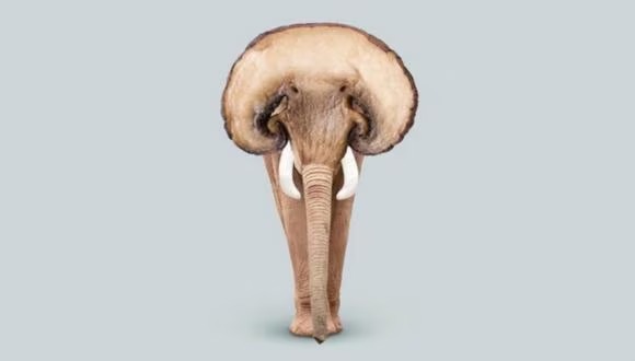 تست شخصیت؛ بگو در تصویر چه دیدی تا بگم چقدر بی خیالی! تست شخصیت؛ بگو در تصویر چه دیدی تا بگم چقدر بی خیالی!