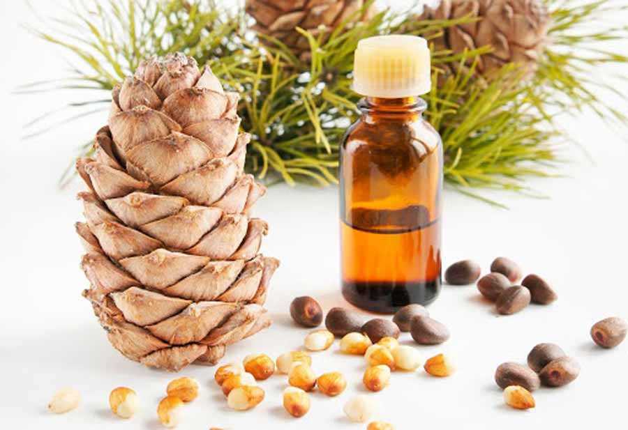 کدام روغن گیاهی برای کدام پوست مناسب است؟ کدام روغن گیاهی برای کدام پوست مناسب است؟