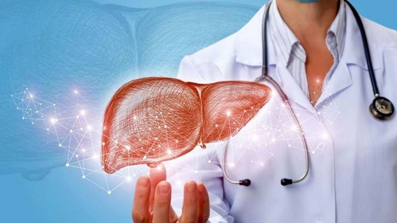 چه غذاهایی برای کبد مضر هستند؟ چه غذاهایی برای کبد مضر هستند؟