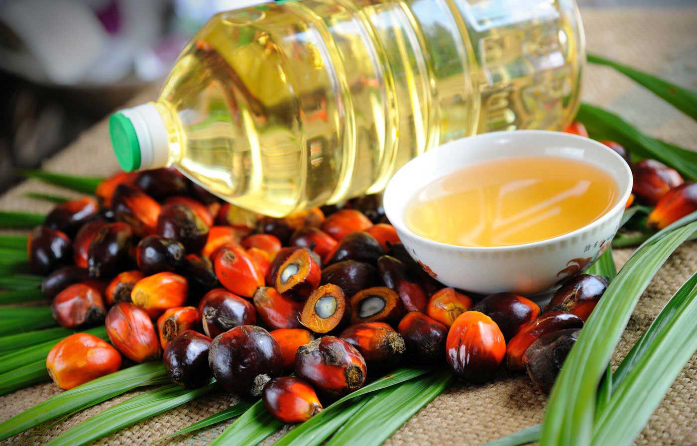 صادرات روغن پالم در اندونزی ممنوع شد صادرات روغن پالم در اندونزی ممنوع شد