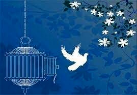 آزادی ۱۶۷۰ زندانی به حرمت ماه مبارک رمضان آزادی ۱۶۷۰ زندانی به حرمت ماه مبارک رمضان