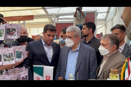 ایجاد مرکز دانش بنیان ازسوی شرکت مس اقدام ارزشمندی است ایجاد مرکز دانش بنیان ازسوی شرکت مس اقدام ارزشمندی است