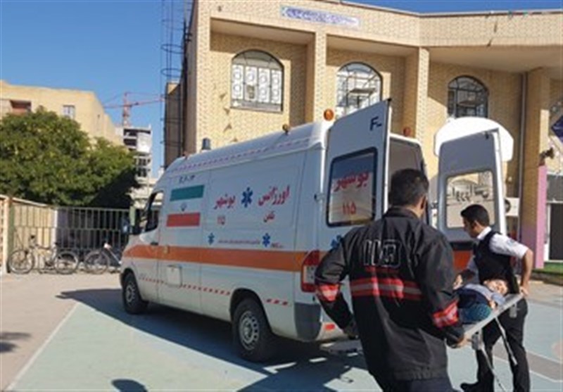 حمله خرس ها به یک تبعه افغانستانی در ایران / سازمان محیط زیست بررسی را آغاز کرد حمله خرس ها به یک تبعه افغانستانی در ایران / سازمان محیط زیست بررسی را آغاز کرد