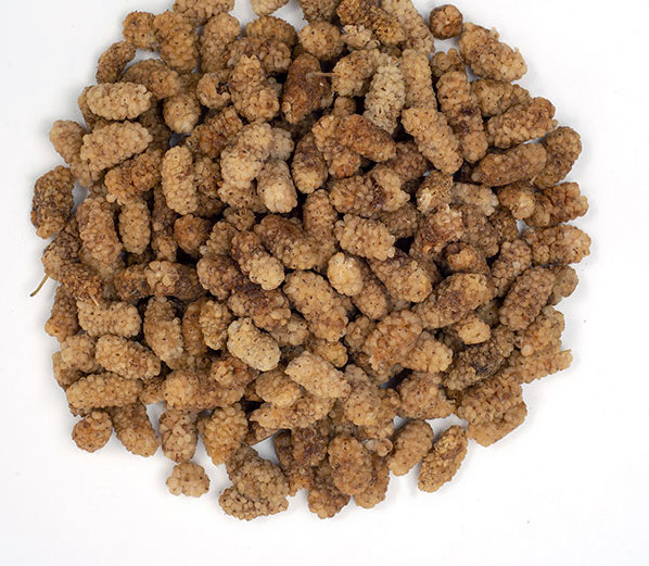 خواص درمانی و زیبایی پنهان در یک مشت توت خشک