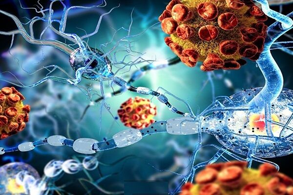 روشی جدید برای درمان بیماری های خود ایمنی روشی جدید برای درمان بیماری های خود ایمنی