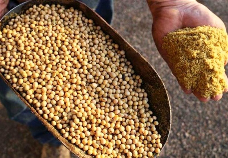 خرید کالاهای اساسی از دلال ها ممنوع! خرید کالاهای اساسی از دلال ها ممنوع!