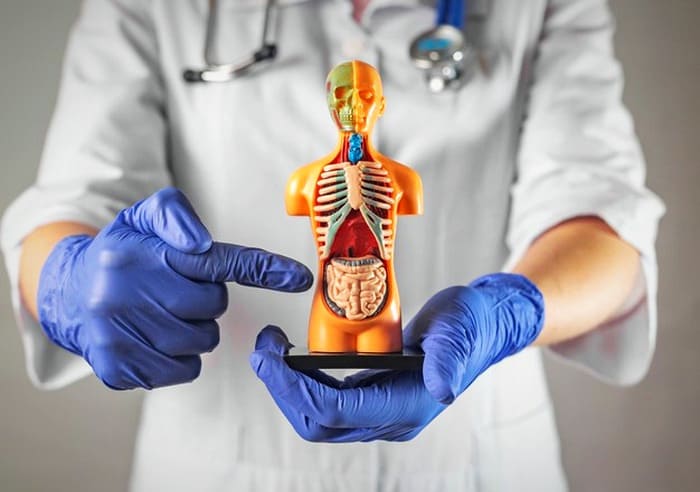 میخوای سیستم گوارش تو هم همیشه سالم باشه؟