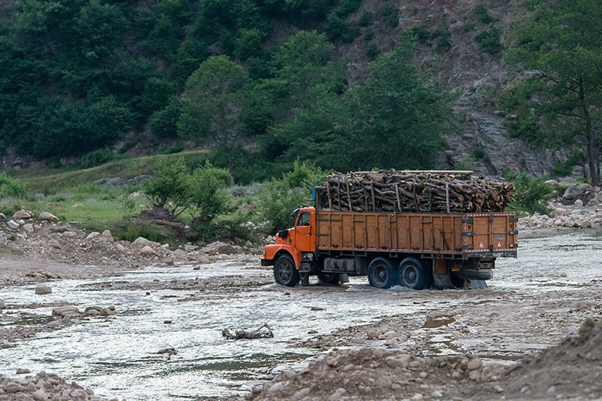 قاچاقچیان چوب، جنگلبانان را تا حد مرگ کتک زدند! + عکس قاچاقچیان چوب، جنگلبانان را تا حد مرگ کتک زدند! + عکس