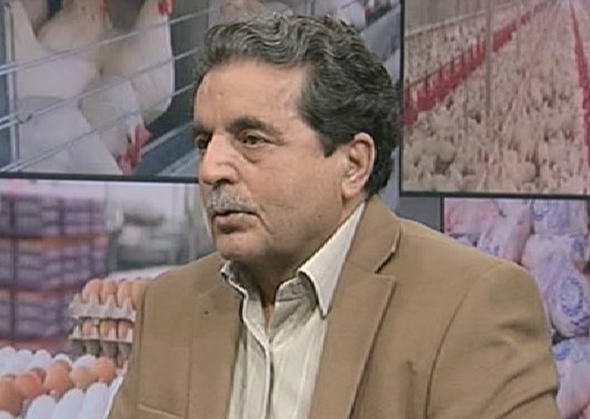 نگرانی از حذف مرغداری های خرد با اجرای طرح «خرید قراردادی مرغ»