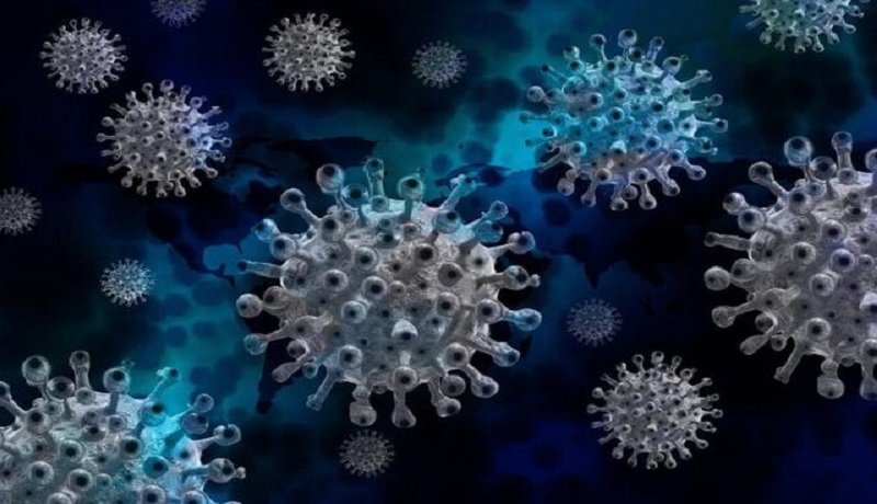 علائم اصلی آبله میمونی+ راه پیشگیری و درمان علائم اصلی آبله میمونی+ راه پیشگیری و درمان