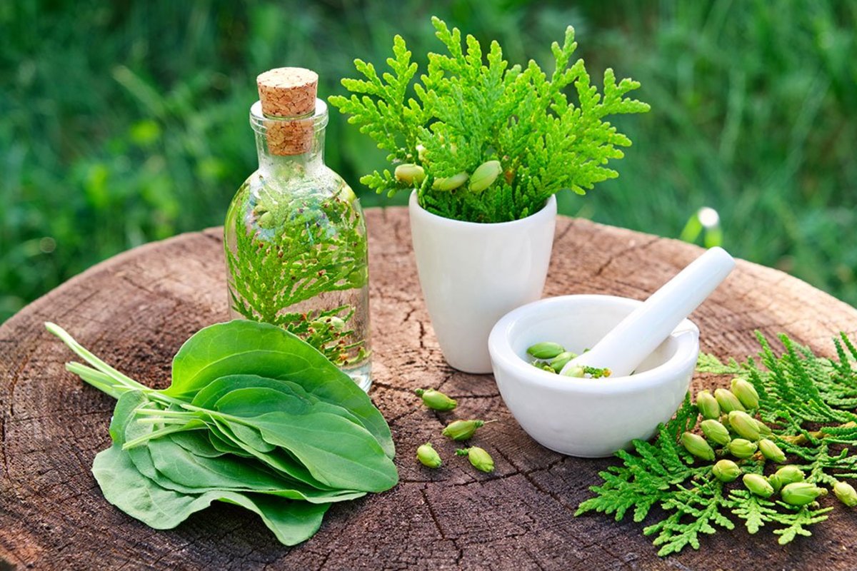 شگفت انگیزترین داروهای گیاهی شگفت انگیزترین داروهای گیاهی