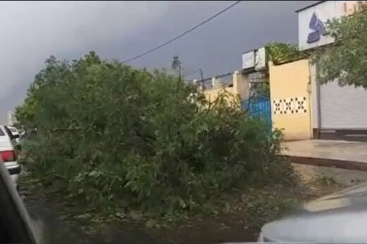 حریق در پارک پردیسان تهران + فیلم