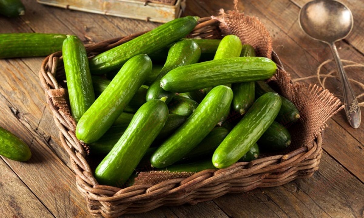 خواب خیار: تفسیر و تعبیر دیدن خیار در خواب چیست؟ خواب خیار: تفسیر و تعبیر دیدن خیار در خواب چیست؟