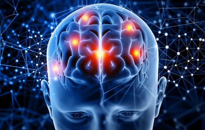 چه کنیم مغز گرم شود؟ نسخه ارزان ابن سینا چه کنیم مغز گرم شود؟ نسخه ارزان ابن سینا