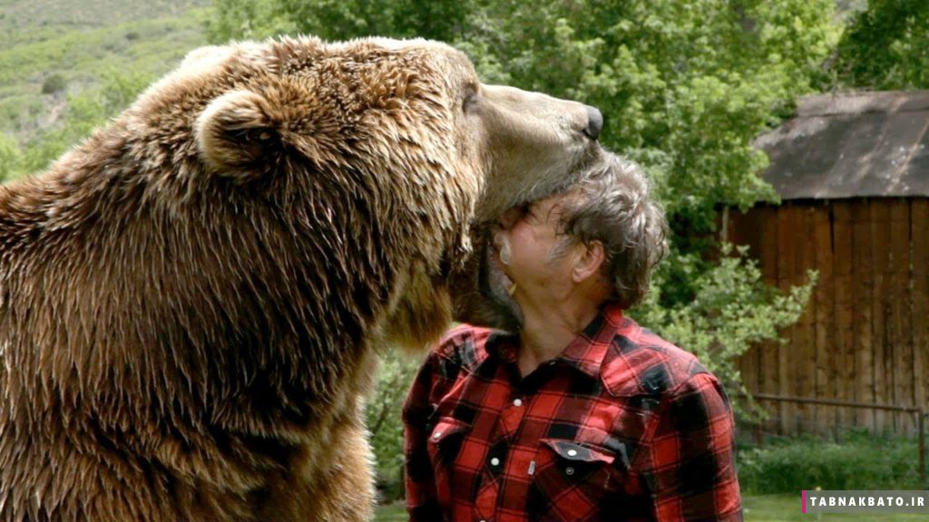 چرا حمله حیوانات وحشی به انسان ها افزایش یافته است؟ چرا حمله حیوانات وحشی به انسان ها افزایش یافته است؟