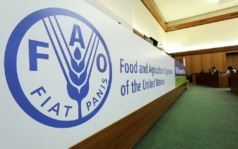 کاهش قیمت جهانی مواد غذایی برای سومین ماه متوالی کاهش قیمت جهانی مواد غذایی برای سومین ماه متوالی