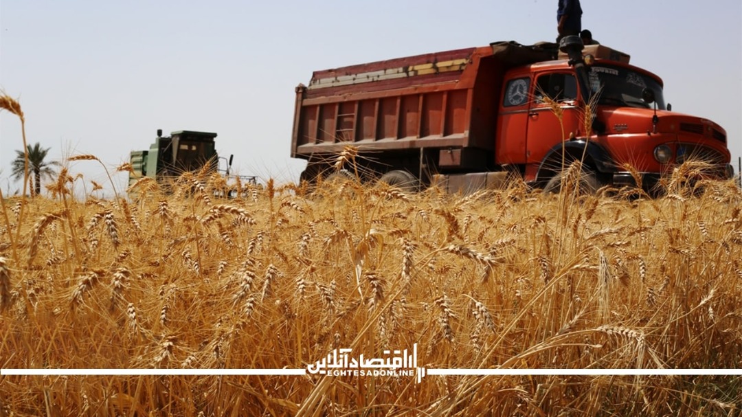 قاچاقچیان محتکر می شوند قاچاقچیان محتکر می شوند
