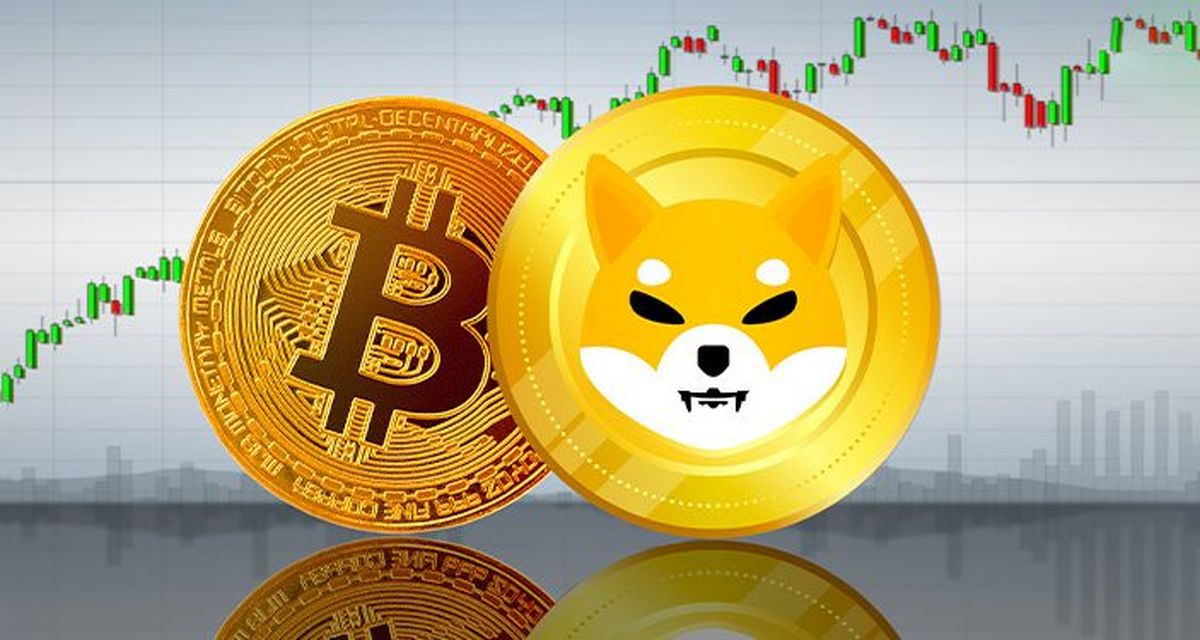 بیت کوین یا شیبا؟ کدام یک بهتر است؟ بیت کوین یا شیبا؟ کدام یک بهتر است؟