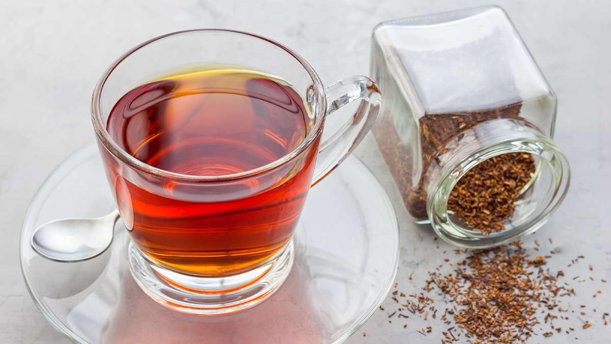 خواص باورنکردنی چای رویبوس + زمان مصرف و عوارض خواص باورنکردنی چای رویبوس + زمان مصرف و عوارض